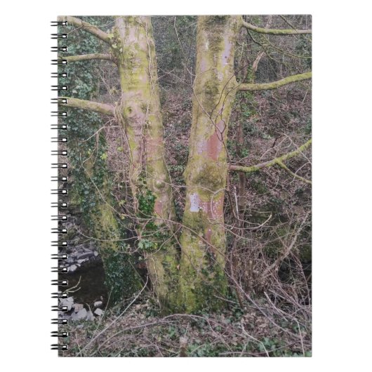 鏡ツリーノート ノートブック (正面)