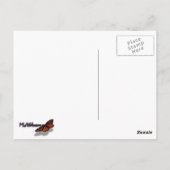 鏡湖Iヨセミテ国立公園 ポストカード (裏面)