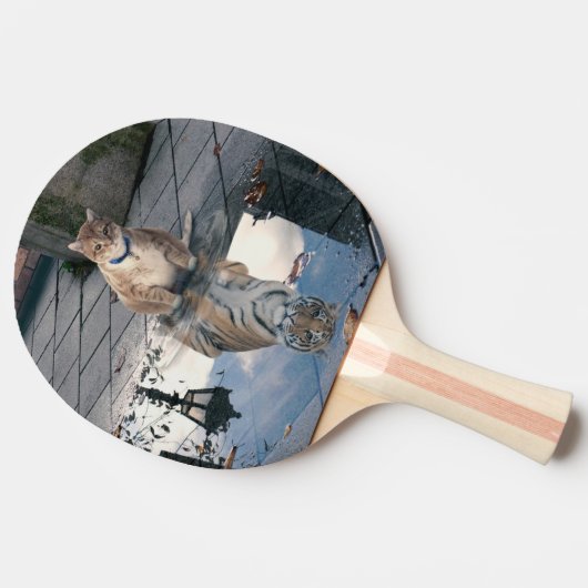 鏡猫 卓球ラケット (横)