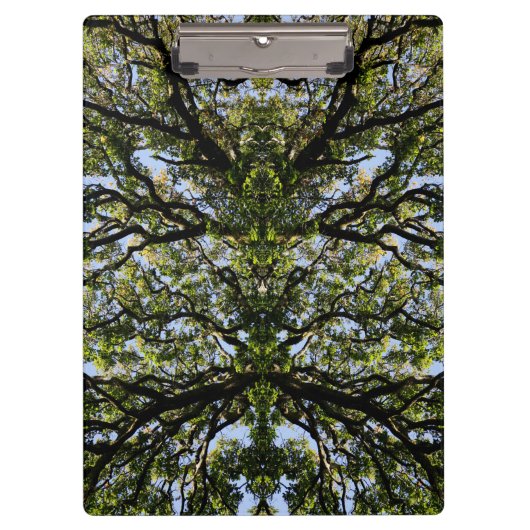 鏡画像ツリー クリップボード (正面)
