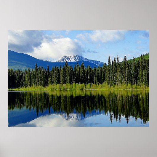 鏡画像 ポスター (正面)