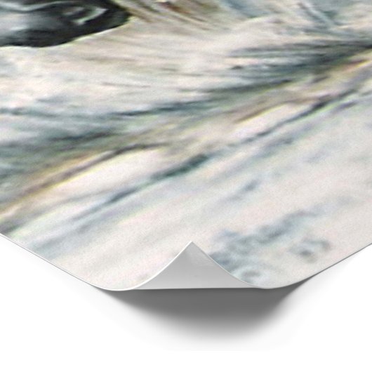 鏡鏡.....プリント ポスター (角)