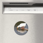 鏡鏡 マグネット (インサイチュ (食洗機))