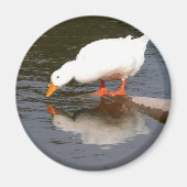 鏡鏡 マグネット (正面)