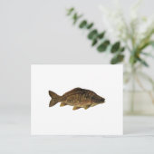 鏡鯉 ポストカード (スタンド正面)