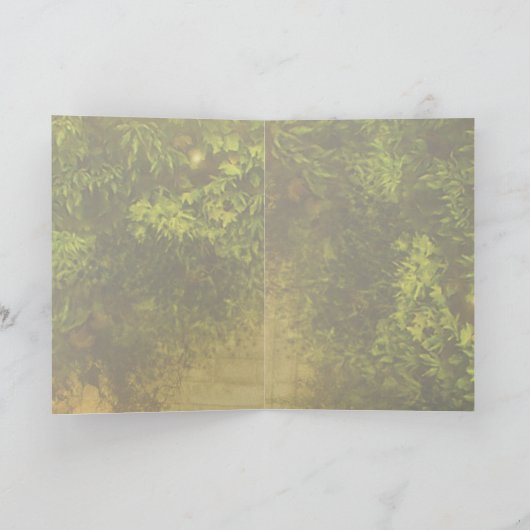 鏡 カード (内部)