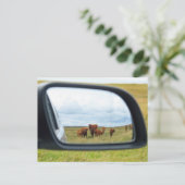 鏡 ポストカード (スタンド正面)