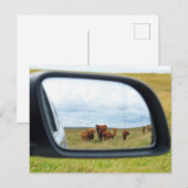 鏡 ポストカード (正面/裏面)