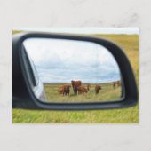 鏡 ポストカード (正面)