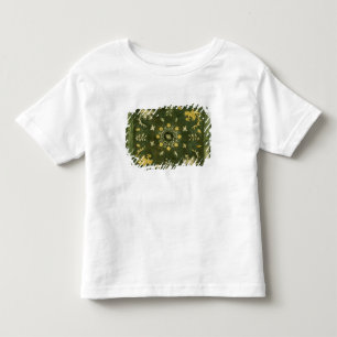 鏡、ラッカーを塗られるの青銅 トドラーTシャツ