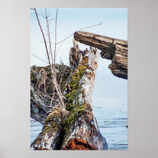 鑑賞ボックス ポスター (正面)