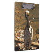 長いくちばしを持つ茶色と灰色の鳥 クリップボード (右)