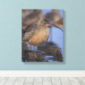 長いバードカレイ キャンバスプリント (インサイチュ (ウッドフロア))