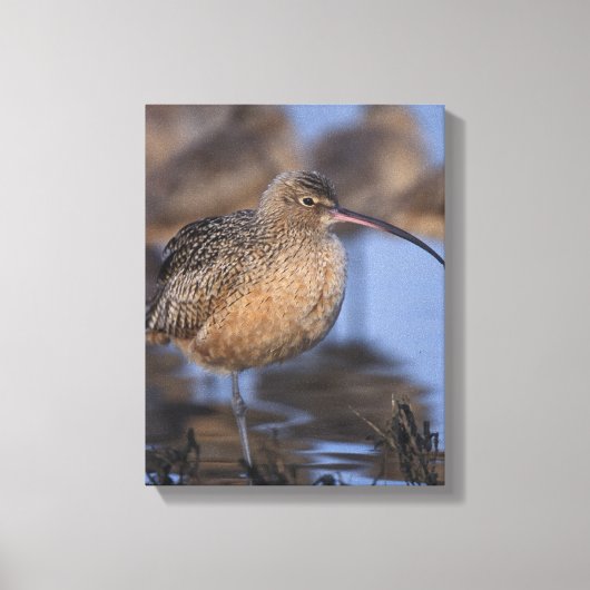 長いバードカレイ キャンバスプリント (正面)