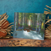 長い一日の散歩プラーク フォトプラーク (側面)