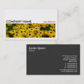 長い写真0138 – 黒い目のササンズ 名刺 (正面/裏面)