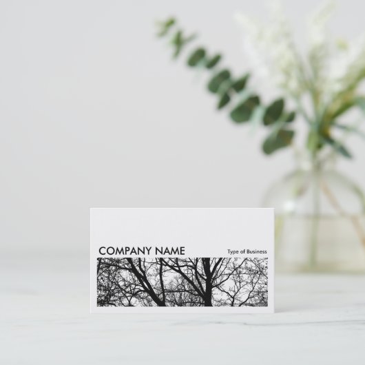 長い写真0162 – シルエットされた枝HC 名刺 (スタンド正面)