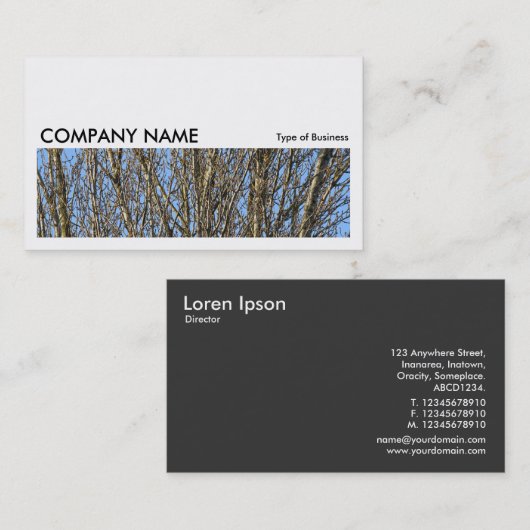 長い写真0164 – 日に照らされた枝 名刺 (正面/裏面)