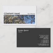 長い写真0179 – 花のマグノリアの木 名刺 (正面/裏面)