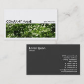 長い写真0208 – ワイルドニンニク 名刺 (正面/裏面)