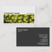 長い写真0231 – 黄色のデイジー 名刺 (正面/裏面)