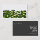 長い写真0235 -デイジーメドウ 名刺 (正面/裏面)