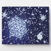 長い冬のナイトプラーク フォトプラーク (正面)