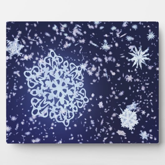 長い冬のナイトプラーク フォトプラーク (正面)