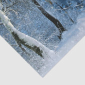 長い冬のワンダーランド魔法の輝く雪 薄葉紙 (詳細)