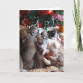 長い冬の昼寝コギ子犬のクリスマスカード シーズンカード (正面)