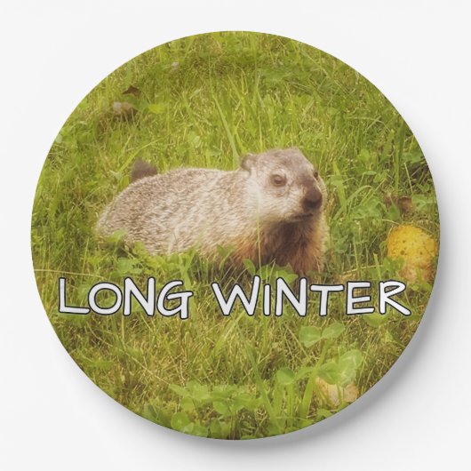 長い冬プレート ペーパープレート (正面)