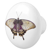 長い後羽を持つ紫と黄色の蝶 セラミックノブ (右)