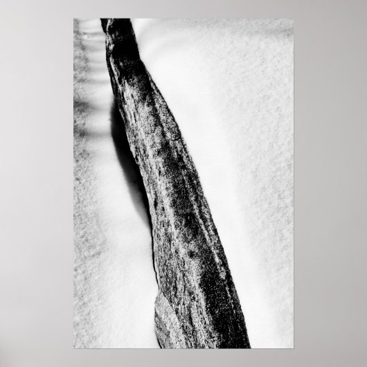 長い懸命の孤独 ポスター (正面)