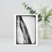 長い懸命の孤独 ポストカード (スタンド正面)