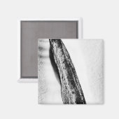 長い懸命の孤独 マグネット (正面/裏面)