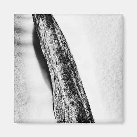 長い懸命の孤独 マグネット (正面)