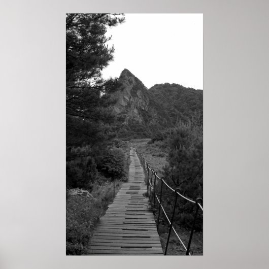 長い旅 ポスター (正面)