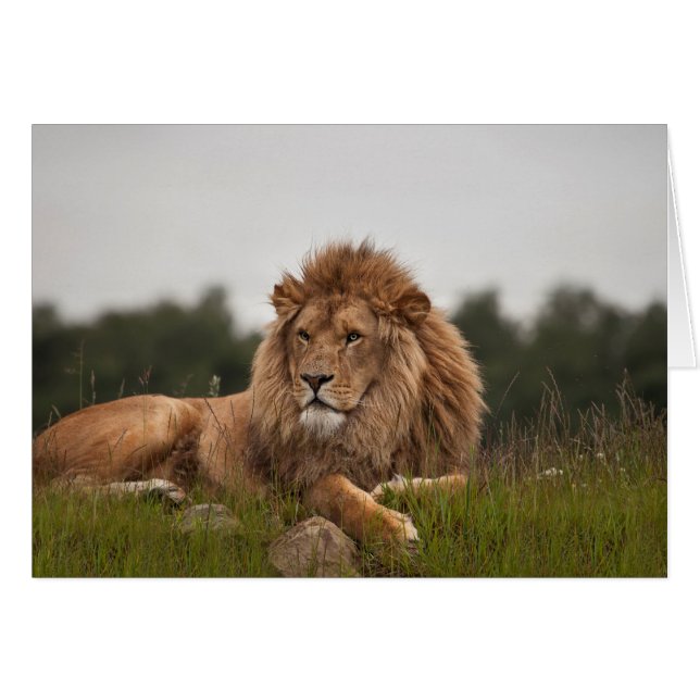 長い日がある人を配置して下さい (正面横)