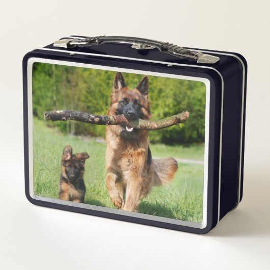 長い毛のふわふわしたドイツの羊飼いの犬と子犬 メタルランチボックス (裏面)