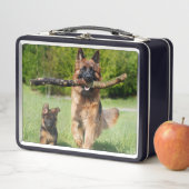 長い毛のふわふわしたドイツの羊飼いの犬と子犬 メタルランチボックス (インサイチュ)