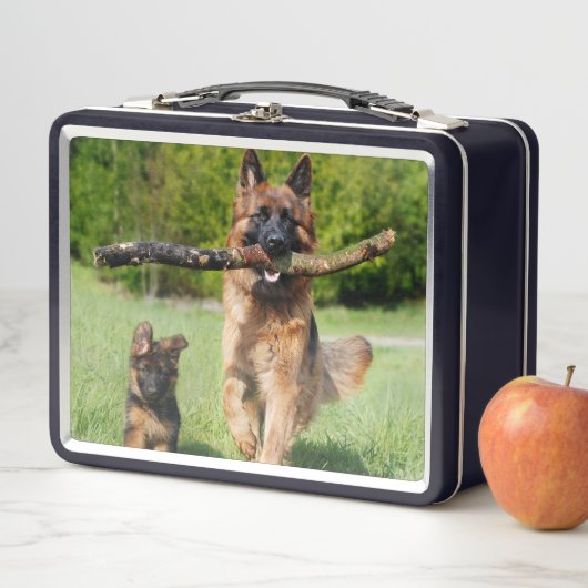 長い毛のふわふわしたドイツの羊飼いの犬と子犬 メタルランチボックス (インサイチュ)