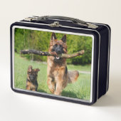 長い毛のふわふわしたドイツの羊飼いの犬と子犬 メタルランチボックス (正面)