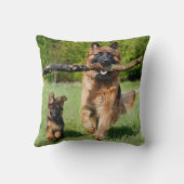 長い毛のふわふわしたドイツの羊飼い犬と子犬 クッション (裏面)