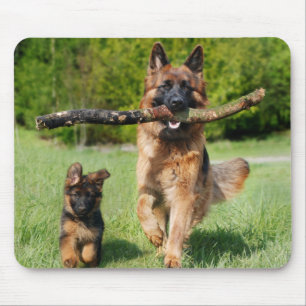 長い毛のふわふわしたドイツの羊飼い犬と子犬 マウスパッド