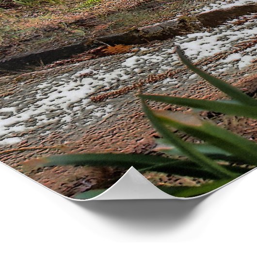 長い睡眠 ポスター (角)