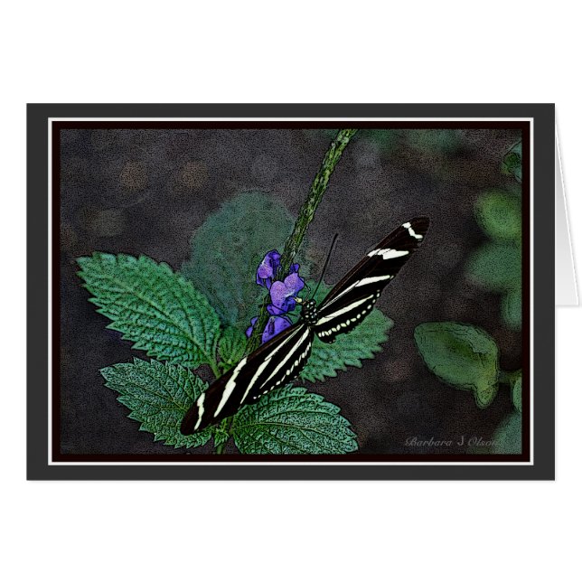 長い翼のシマウマの蝶 (正面横)