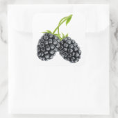 長い茎の上に2つのブラックベリー スクエアシール (バッグ)