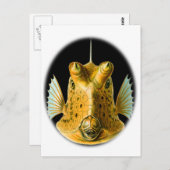 長い角を持つカウフィッシュ ポストカード (正面/裏面)