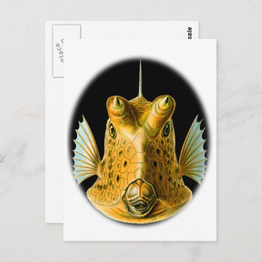 長い角を持つカウフィッシュ ポストカード (正面/裏面)