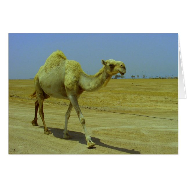 長い道のり歩きます (正面横)